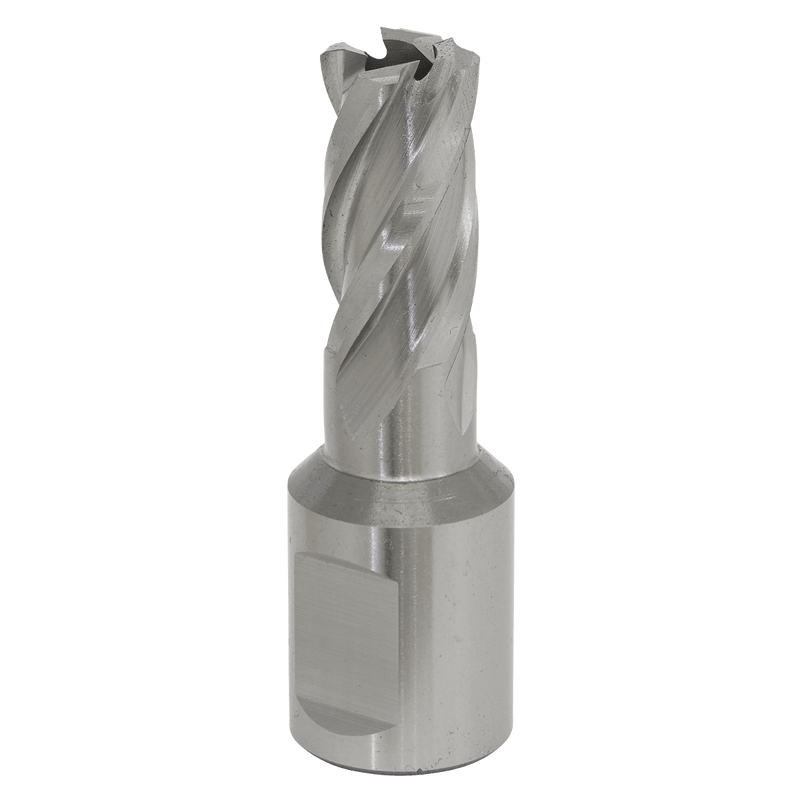 Sealey RBHSS16S Worksafe® 16mm HSS Mag Drill Bit Cut Depth 25mm - RBHSS16S - Sealey Tools UK - Trade Counter Direct