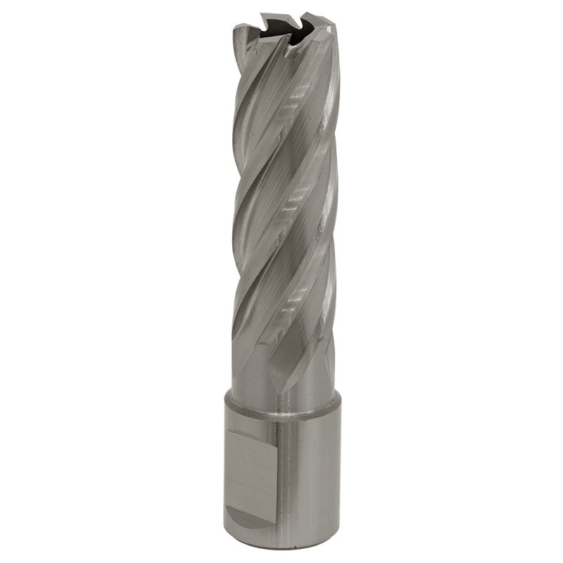 Sealey RBHSS17L Worksafe® 17mm HSS Mag Drill Bit Cut Depth 50mm - RBHSS17L - Sealey Tools UK - Trade Counter Direct