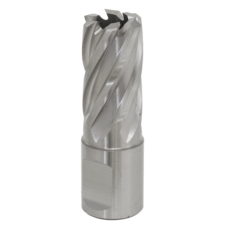Sealey RBHSS17S Worksafe® 17mm HSS Mag Drill Bit Cut Depth 25mm - RBHSS17S - Sealey Tools UK - Trade Counter Direct