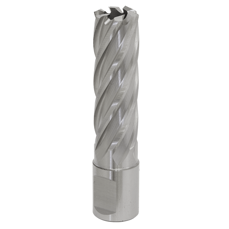 Sealey RBHSS18L Worksafe® 18mm HSS Mag Drill Bit Cut Depth 50mm - RBHSS18L - Sealey Tools UK - Trade Counter Direct
