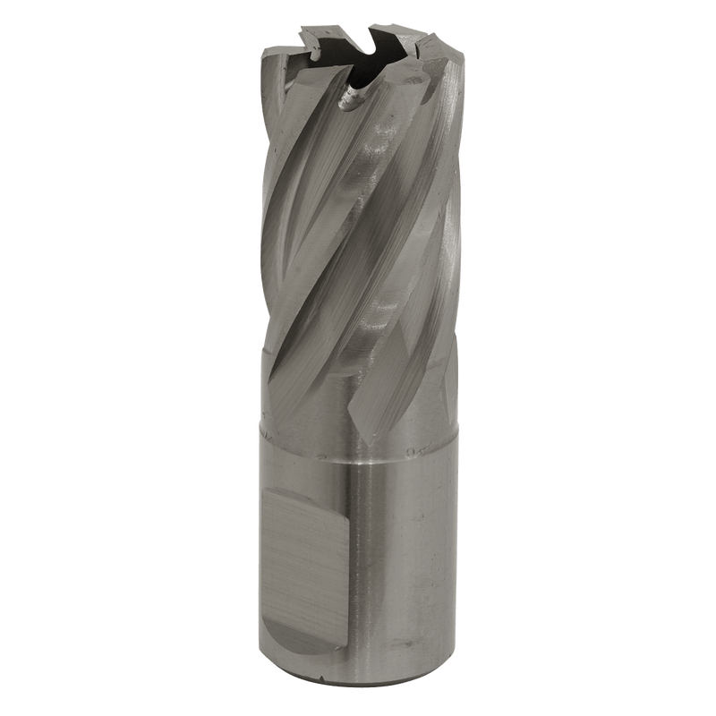 Sealey RBHSS19S Worksafe® 19mm HSS Mag Drill Bit Cut Depth 25mm - RBHSS19S - Sealey Tools UK - Trade Counter Direct