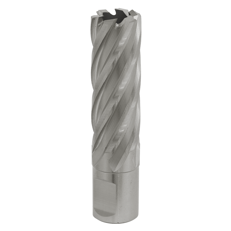 Sealey RBHSS20L Worksafe® 20mm HSS Mag Drill Bit Cut Depth 50mm - RBHSS20L - Sealey Tools UK - Trade Counter Direct