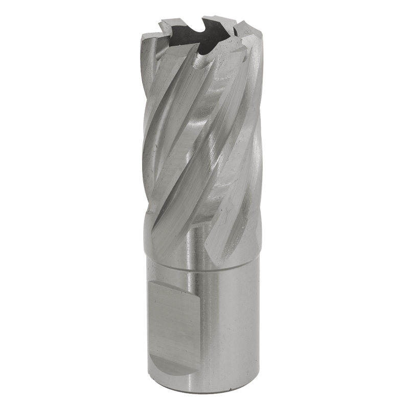 Sealey RBHSS20S Rotabor Cutter HSS Ø20mm - Cut Depth 25mm - RBHSS20S - Sealey Tools UK - Trade Counter Direct