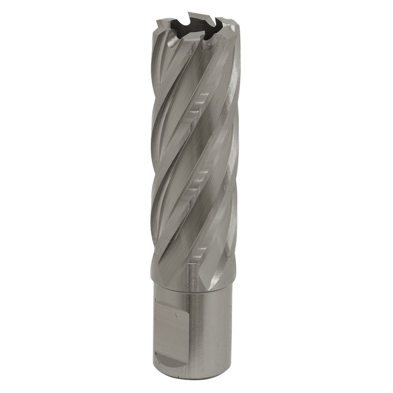 Sealey RBHSS21L Worksafe® 21mm HSS Mag Drill Bit Cut Depth 50mm - RBHSS21L - Sealey Tools UK - Trade Counter Direct