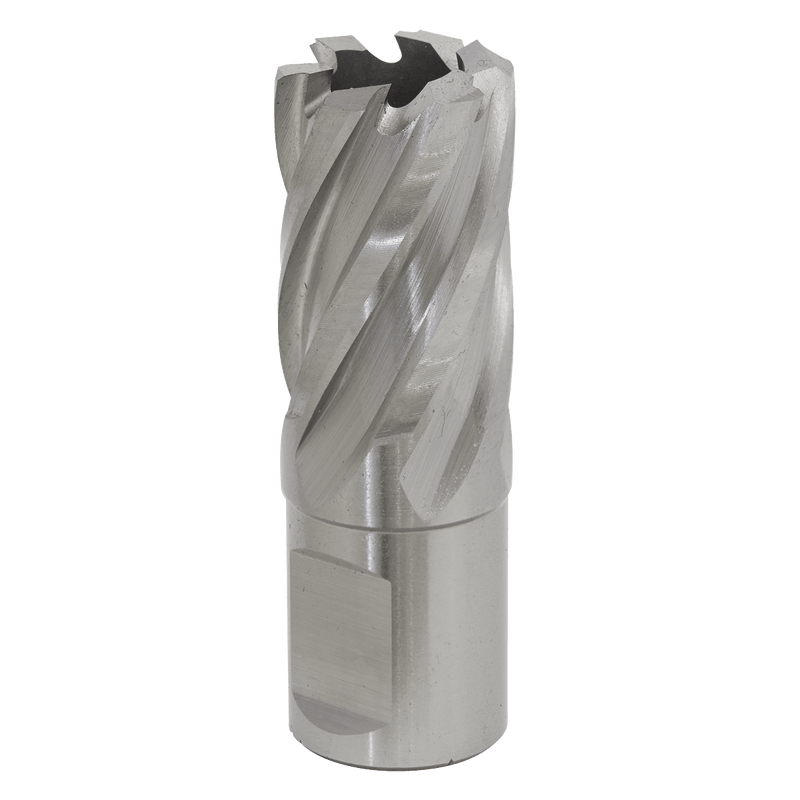 Sealey RBHSS21S Worksafe® 21mm HSS Mag Drill Bit Cut Depth 25mm - RBHSS21S - Sealey Tools UK - Trade Counter Direct