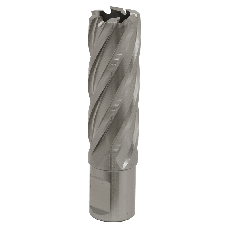 Sealey RBHSS22L Worksafe® 22mm HSS Mag Drill Bit Cut Depth 50mm - RBHSS22L - Sealey Tools UK - Trade Counter Direct