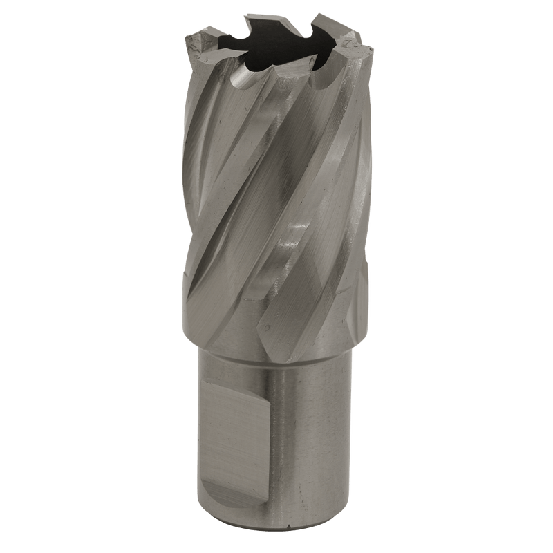 Sealey RBHSS22S Worksafe® 22mm HSS Mag Drill Bit Cut Depth 25mm - RBHSS22S - Sealey Tools UK - Trade Counter Direct
