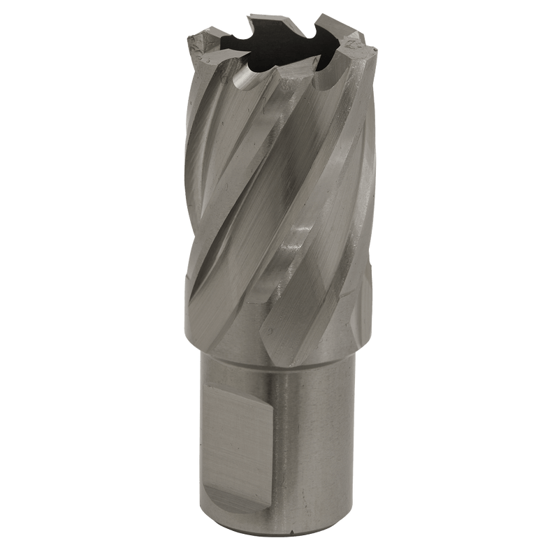 Sealey RBHSS23S Worksafe® 23mm HSS Mag Drill Bit Cut Depth 25mm - RBHSS23S - Sealey Tools UK - Trade Counter Direct