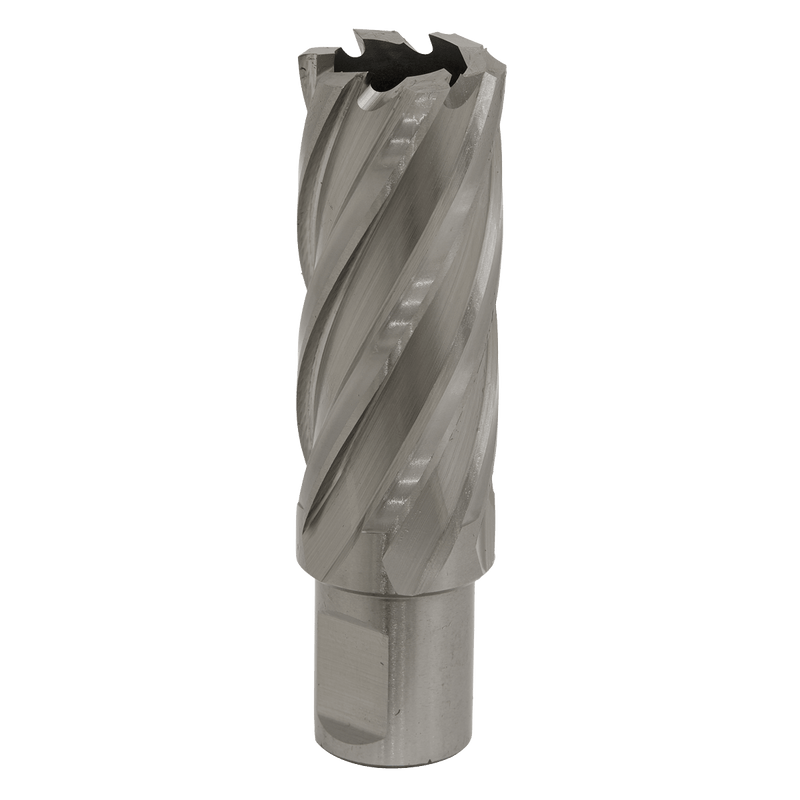 Sealey RBHSS24L Worksafe® 24mm HSS Mag Drill Bit Cut Depth 50mm - RBHSS24L - Sealey Tools UK - Trade Counter Direct