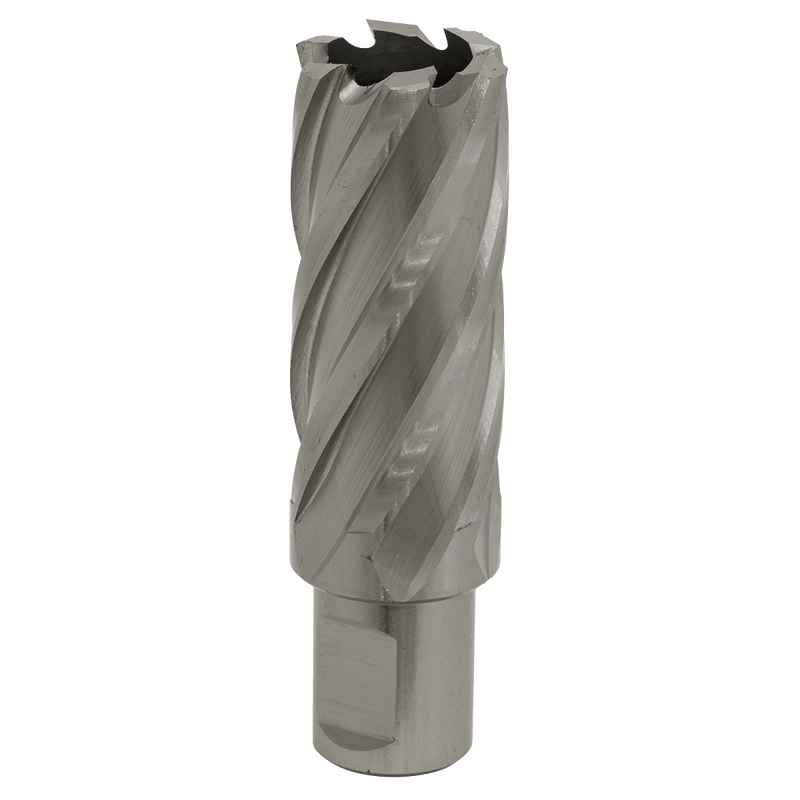 Sealey RBHSS25L Worksafe® 25mm HSS Mag Drill Bit Cut Depth 50mm - RBHSS25L - Sealey Tools UK - Trade Counter Direct