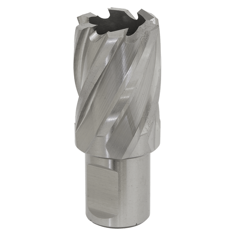 Sealey RBHSS25S Worksafe® 25mm HSS Mag Drill Bit Cut Depth 25mm - RBHSS25S - Sealey Tools UK - Trade Counter Direct