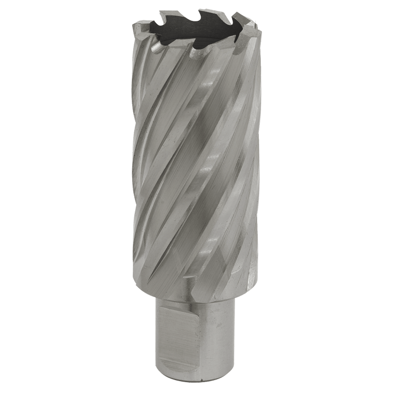 Sealey RBHSS29L Worksafe® 29mm HSS Mag Drill Bit Cut Depth 50mm - RBHSS29L - Sealey Tools UK - Trade Counter Direct