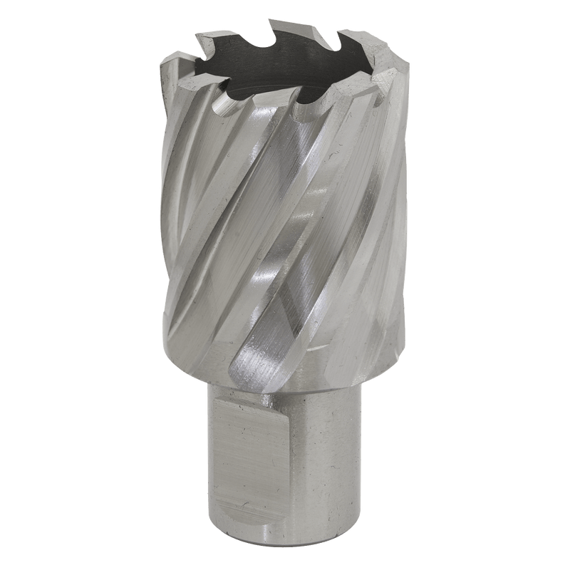 Sealey RBHSS29S Worksafe® 29mm HSS Mag Drill Bit Cut Depth 25mm - RBHSS29S - Sealey Tools UK - Trade Counter Direct