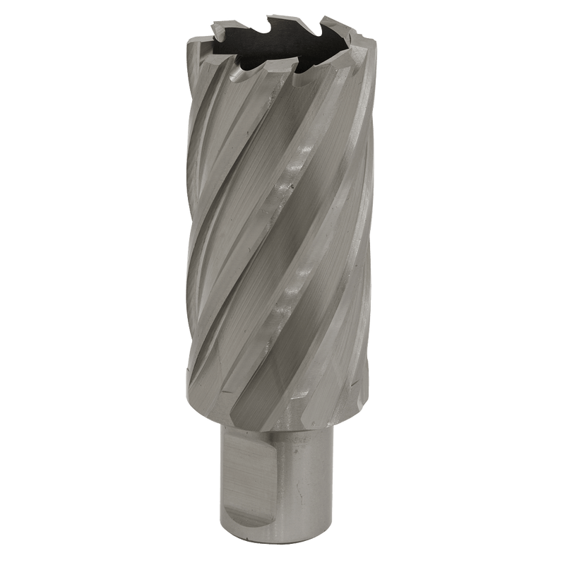 Sealey RBHSS31L Worksafe® 31mm HSS Mag Drill Bit Cut Depth 50mm - RBHSS31L - Sealey Tools UK - Trade Counter Direct