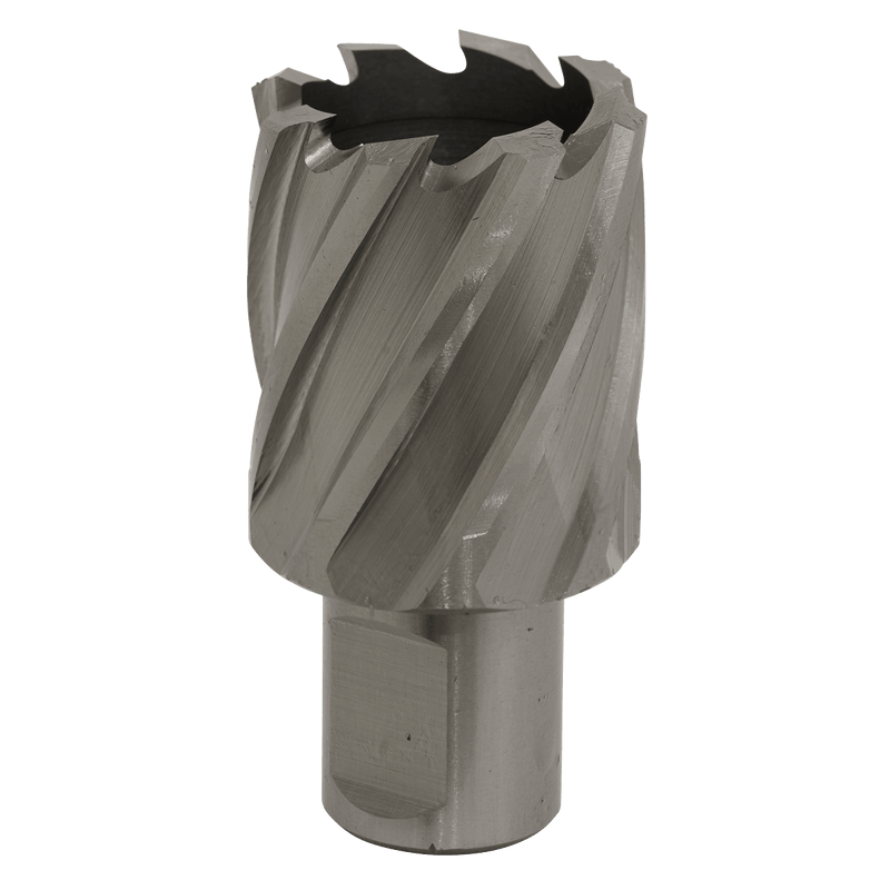 Sealey RBHSS32S Worksafe® 32mm HSS Mag Drill Bit Cut Depth 25mm - RBHSS32S - Sealey Tools UK - Trade Counter Direct
