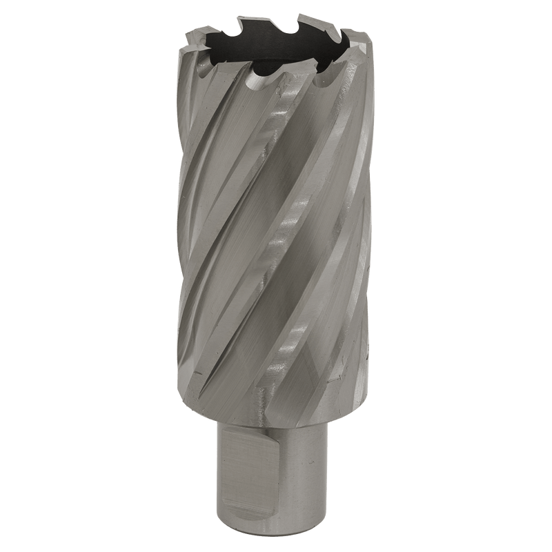 Sealey RBHSS33L Worksafe® 33mm HSS Mag Drill Bit Cut Depth 50mm - RBHSS33L - Sealey Tools UK - Trade Counter Direct