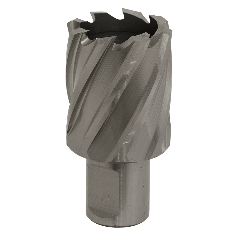 Sealey RBHSS33S Worksafe® 33mm HSS Mag Drill Bit Cut Depth 25mm - RBHSS33S - Sealey Tools UK - Trade Counter Direct