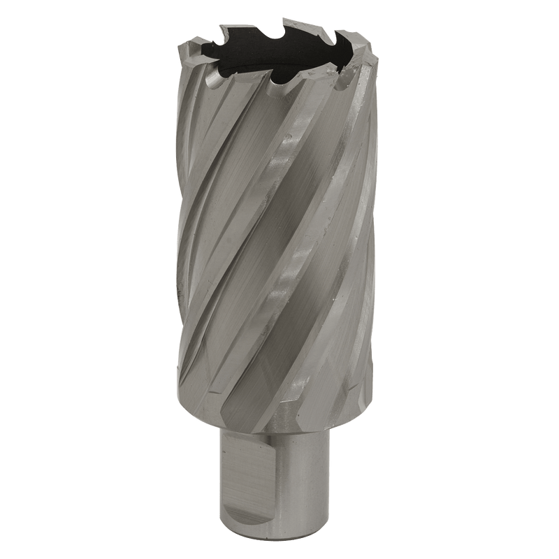 Sealey RBHSS34L Worksafe® 34mm HSS Mag Drill Bit Cut Depth 50mm - RBHSS34L - Sealey Tools UK - Trade Counter Direct