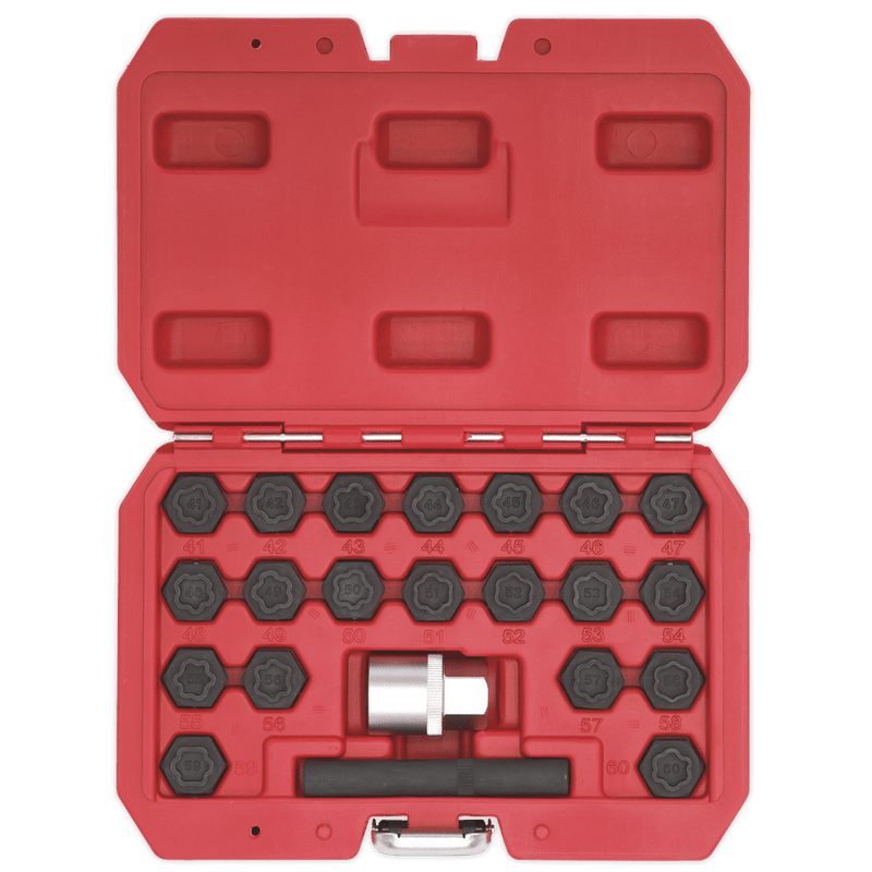 Sealey SX207 Locking Wheel Nut Key Set for BMW 22pc - SX207 - Sealey Tools UK - Trade Counter Direct
