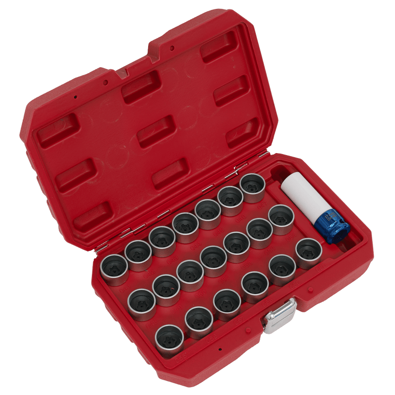 Sealey SX217 Locking Wheel Nut Key Set for BMW 21pc - SX217 - Sealey Tools UK - Trade Counter Direct