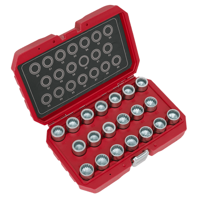 Sealey SX221 Locking Wheel Nut Key Set 20pc - Porsche - SX221 - Sealey Tools UK - Trade Counter Direct