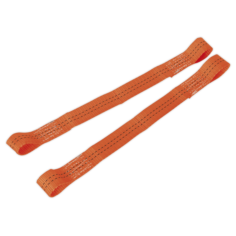 Sealey TDL01 Tie Down Securing Loop - Pair - TDL01 - Sealey Tools UK - Trade Counter Direct