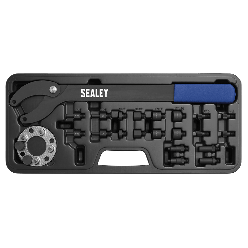 Sealey VS754 Pulley Holding/Turning Set for VAG 24pc - VS754 - Sealey Tools UK - Trade Counter Direct
