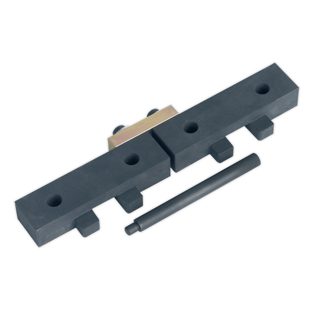 Sealey VSE4425 Petrol Engine Timing Tool Kit for BMW M42/M50/M52/M52TU/M54/M56 - Chain Drive - VSE4425 - Sealey Tools UK - Trade Counter Direct