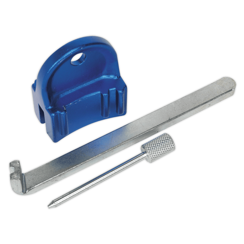 Sealey VSE5005 Petrol Engine Timing Tool Kit - for GM, Saab, Chevrolet - EcoTec 1.4, 1.6, 1.8 16v - Belt Drive - VSE5005 - Sealey Tools UK - Trade Counter Direct