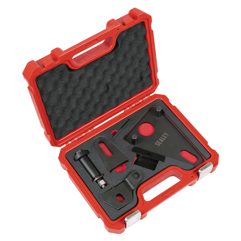 Sealey VSE5032 Front Pulley & Flywheel Locking Tool Set - Chain Drive - VSE5032 - Sealey Tools UK - Trade Counter Direct