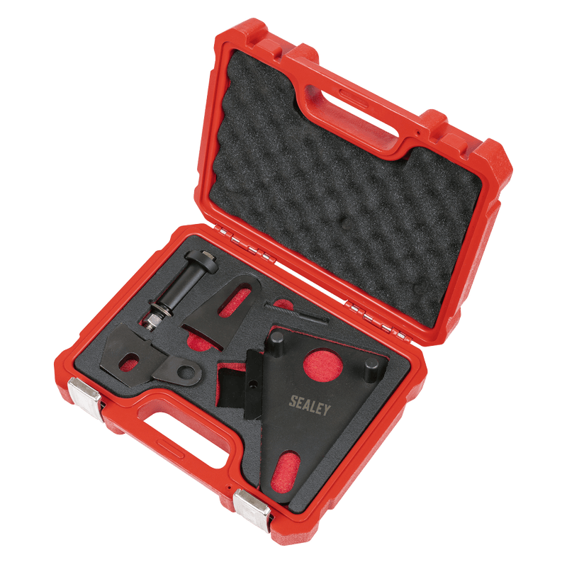 Sealey VSE5032 Front Pulley & Flywheel Locking Tool Set - Chain Drive - VSE5032 - Sealey Tools UK - Trade Counter Direct