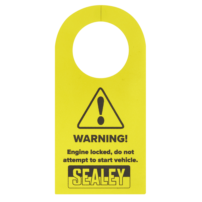 Sealey VSE5067 Petrol Engine Timing Tool Kit - for GM 1.0/1.4 Chain Drive - VSE5067 - Sealey Tools UK - Trade Counter Direct