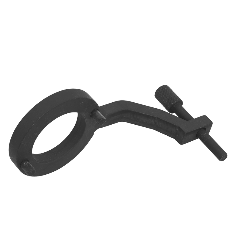Sealey VSE5312 Fuel Pump Holding Tool - for Jaguar, Land Rover 3.0D TDV6 - Belt Drive - VSE5312 - Sealey Tools UK - Trade Counter Direct