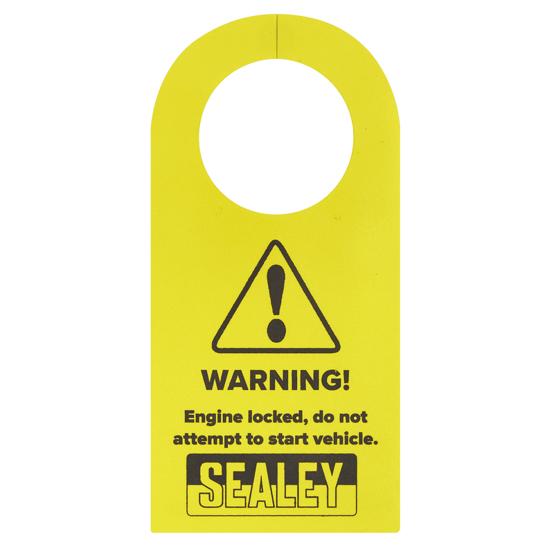 Sealey VSE6156 Petrol Engine Balance Shaft Alignment Tool Kit - for BMW, BMW Mini, Citroen, Peugeot - Chain Drive - VSE6156 - Sealey Tools UK - Trade Counter Direct