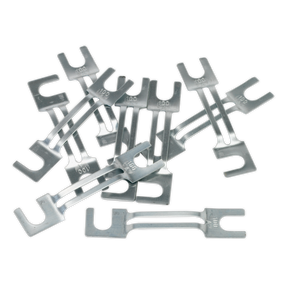 Sealey 120/802131 100A Fuse 99 x 20mm, Large - Pack of 10
