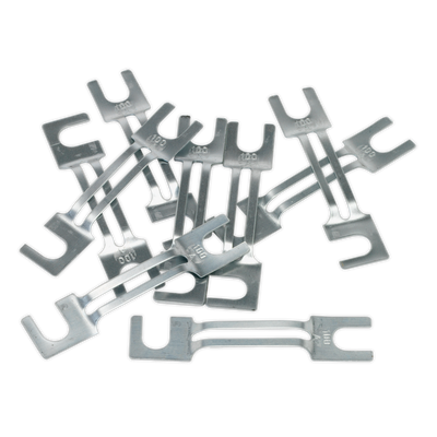 Sealey 120/802131 100A Fuse 99 x 20mm, Large - Pack of 10