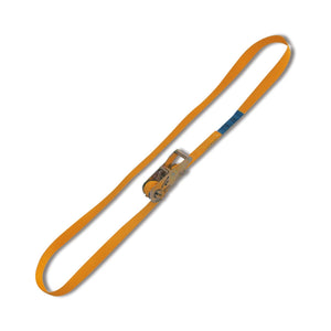 Robur Ring Ratchet Tie Down - 8185 5