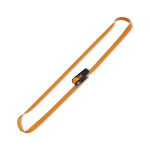 Robur Ring Ratchet Tie Downs - 8188C25 2,5