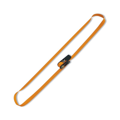 Robur Ring Ratchet Tie Downs - 8188C25 2,5
