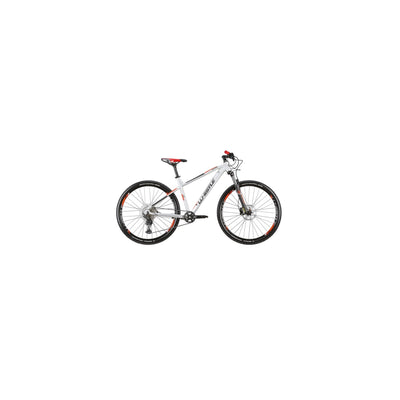 Beta Collection Whistle Mountain Bike 29 Inch - 9598WHP-N - 9598WHP L-N