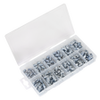 Sealey AB008GN Grease Nipple Assortment 115pc