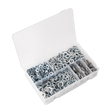 Sealey AB058SW Zinc Plated Spring Washer Assortment M6-M16 1010pc - DIN 127B
