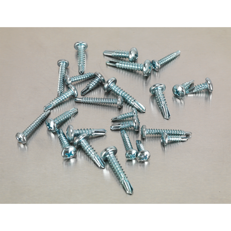Sealey AB060SDS Zinc Plated Self-Drilling Pan Head Phillips Screw Assortment 500pc - additional view 2