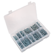 Sealey AB065STCP Zinc Plated Self-Tapping Countersunk Pozi Screw Assortment 600pc