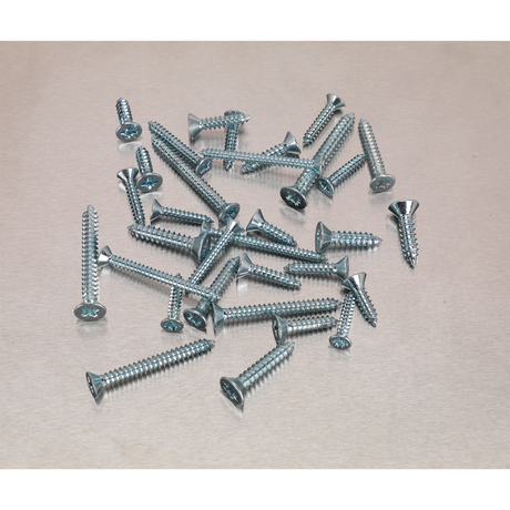 Sealey AB065STCP Zinc Plated Self-Tapping Countersunk Pozi Screw Assortment 600pc - additional view 2