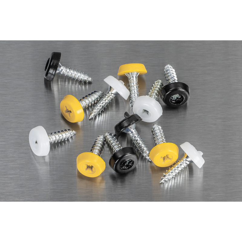 Sealey AB195NP Numberplate Screw Assortment 4.8mm x 18mm 195pc - Plastic Enclosed Head - additional view 7