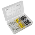 Sealey AB195NP Numberplate Screw Assortment 4.8mm x 18mm 195pc - Plastic Enclosed Head