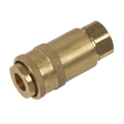 Sealey AC90 PCL Non-Corrodible Coupling Body Female 1/4"BSPT