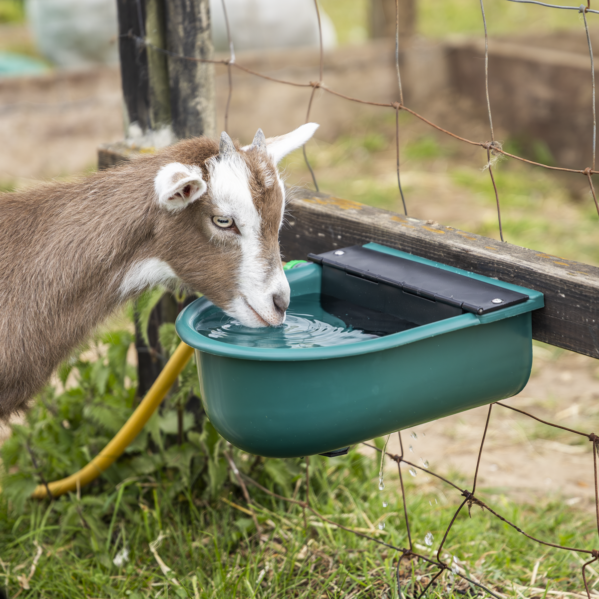 Sealey AFT01 Automatic Cattle Drinking Bowl 4L - additional view 9