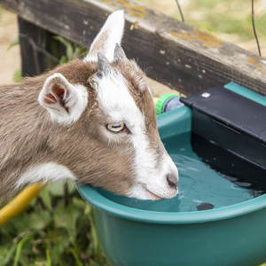 Sealey AFT01 Automatic Cattle Drinking Bowl 4L - additional view 11
